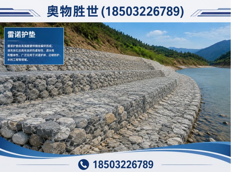 松原雷诺护垫展示图